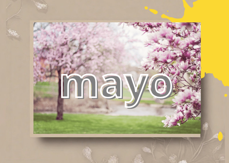 mayo