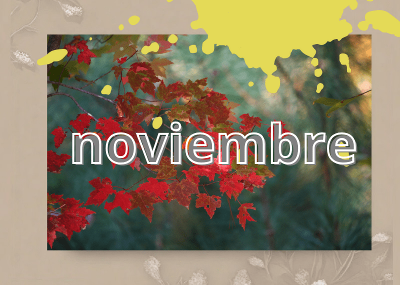 noviembre