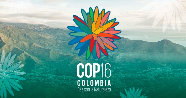 Colombia: Diversidad, Arte y Biodiversidad en Escena